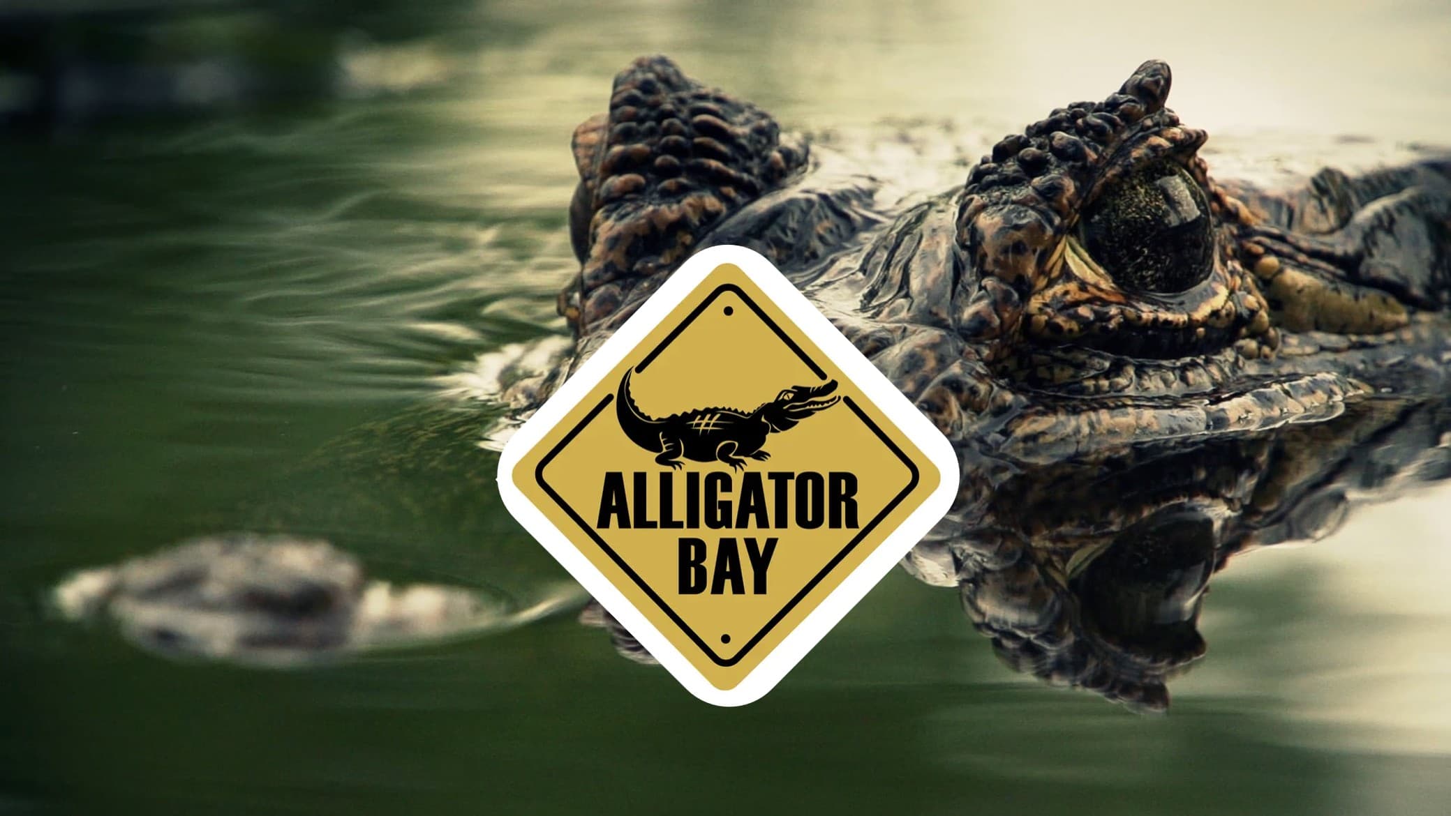 Alligator Bay