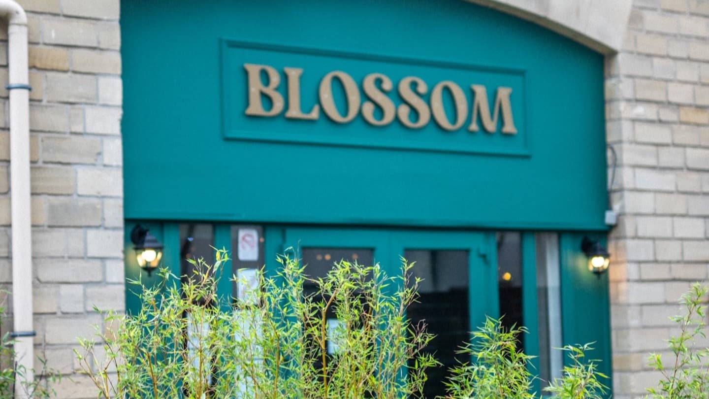 Blossom 🆕