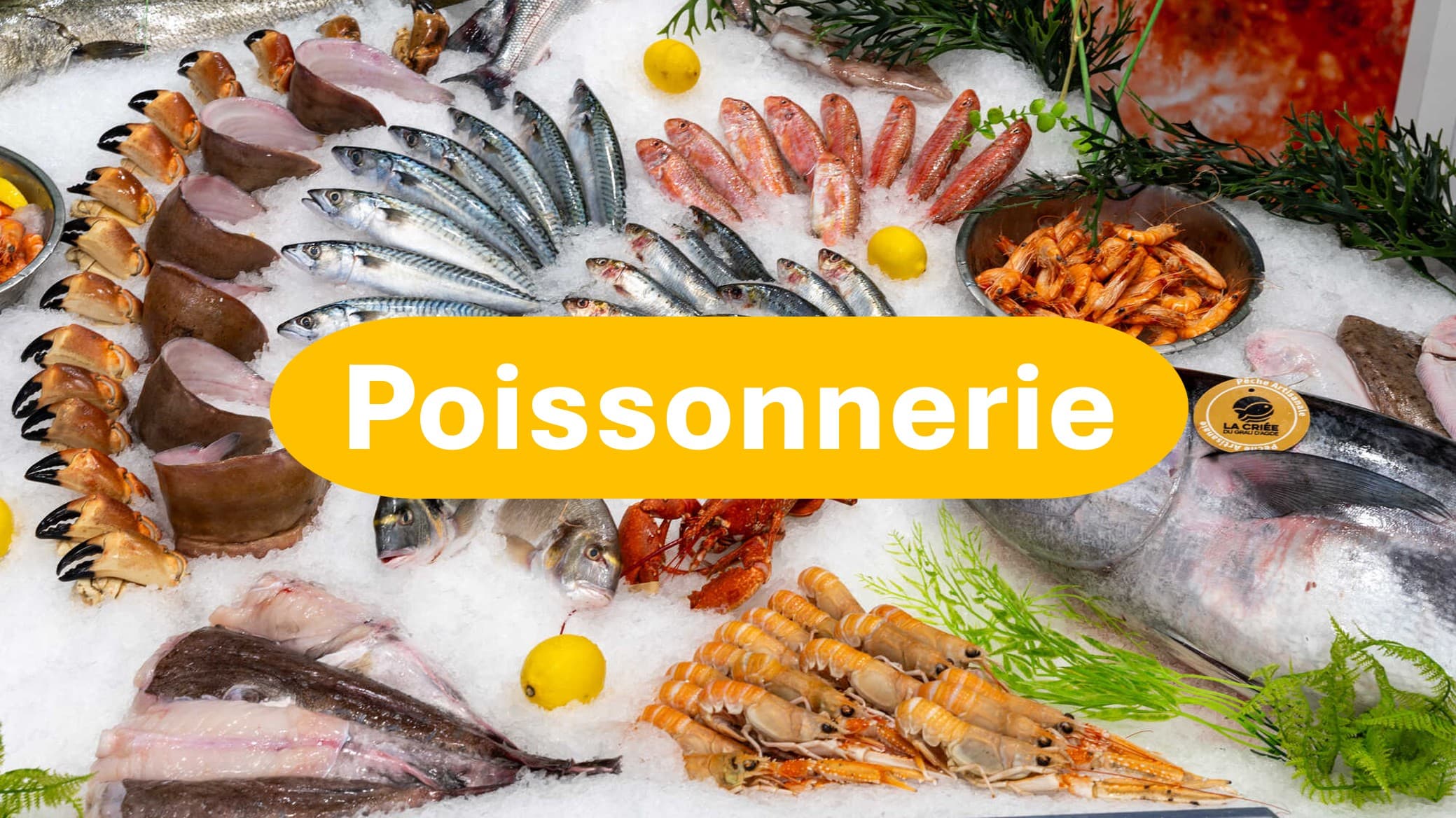 Pleine Mer